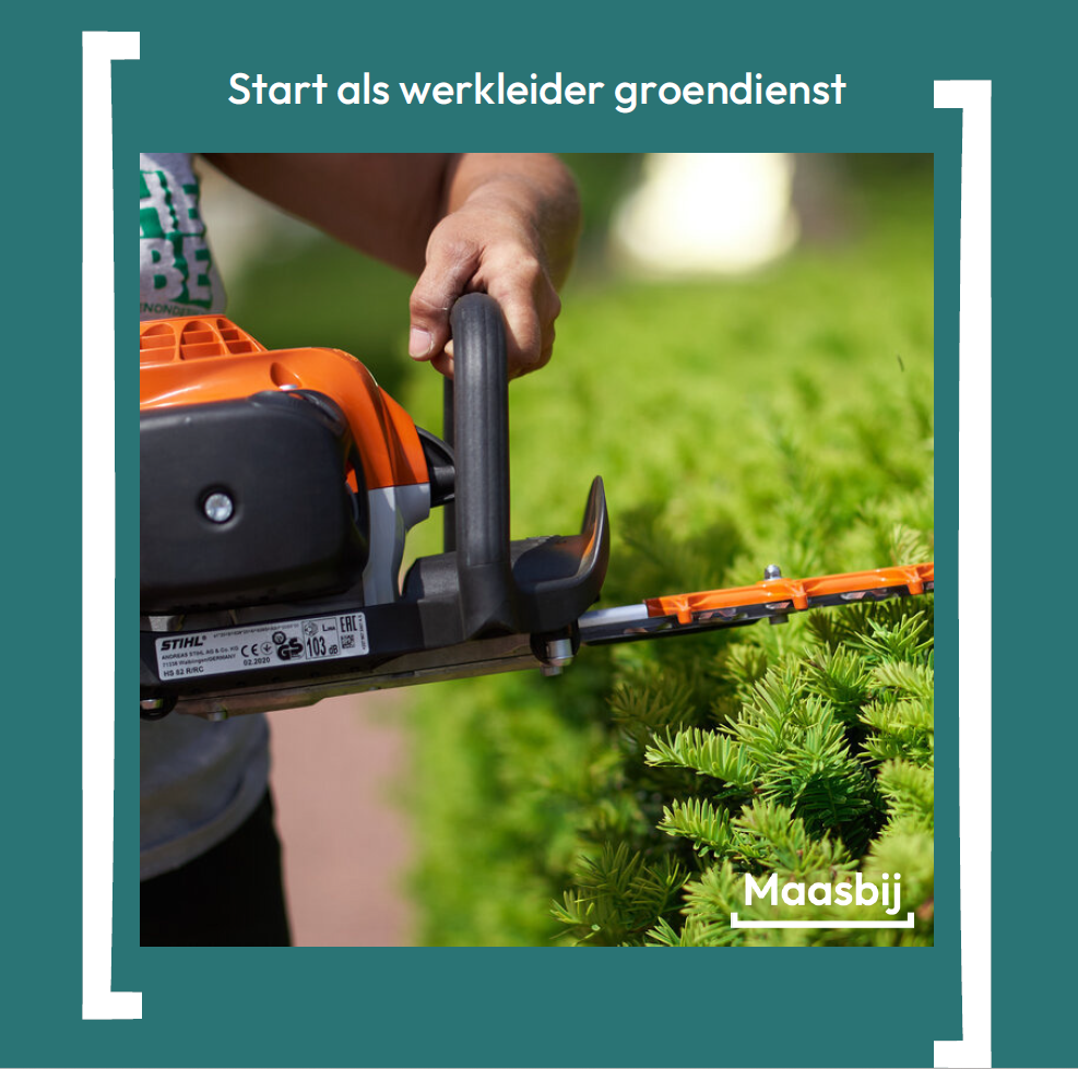 voorbeeld vacature advertentie